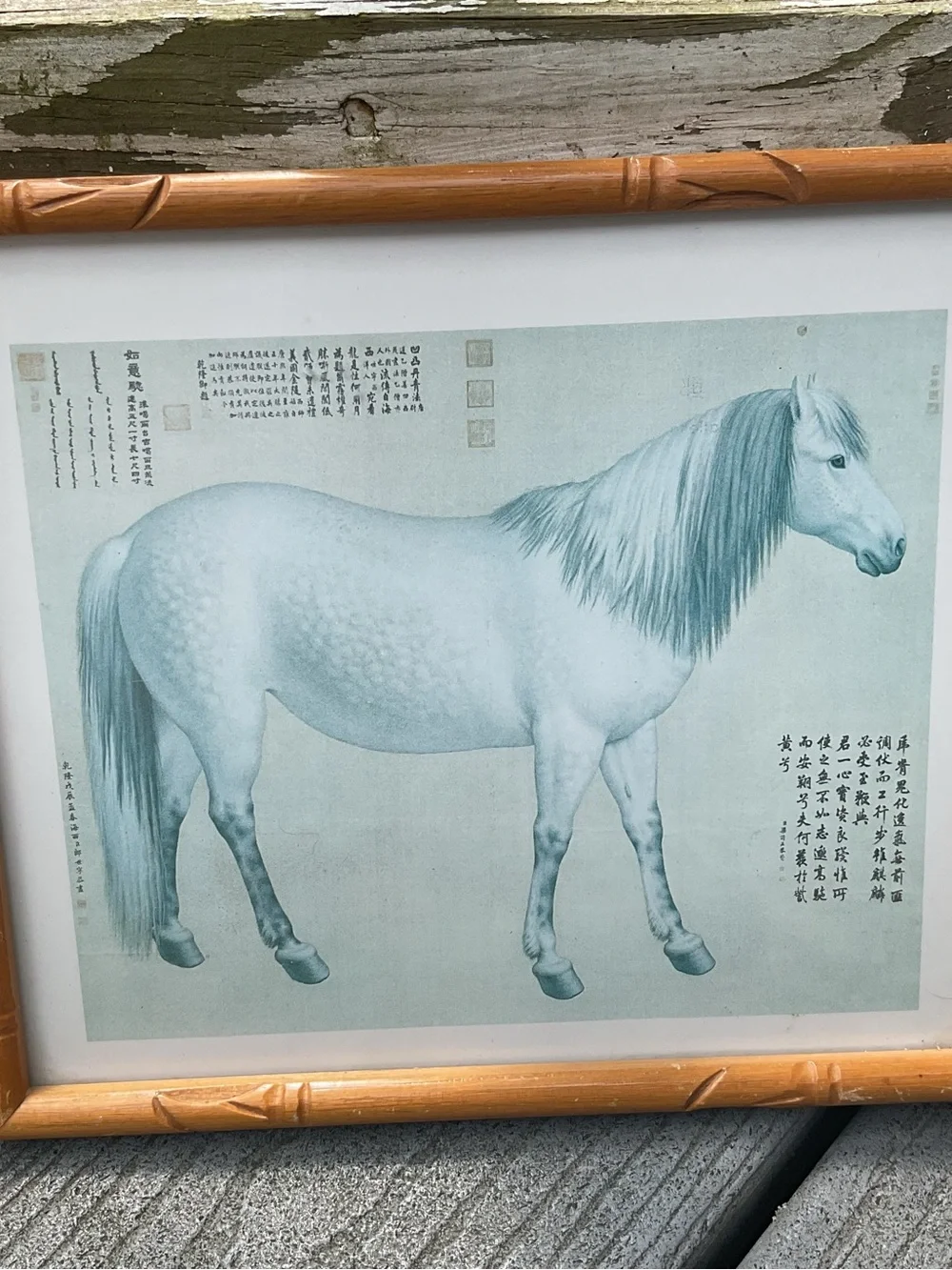 Vintage Chinese Horse Art Prints Afghan Steeds Wood framed set of 3